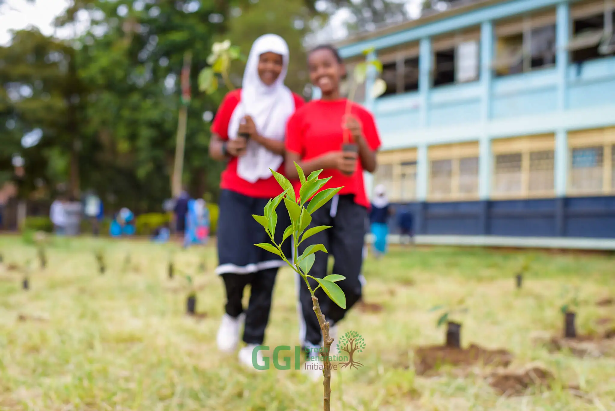 Local environmental action led by communities and youth.